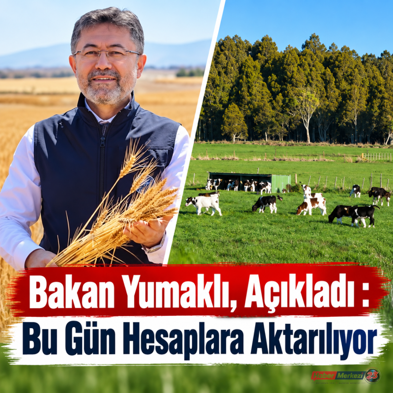 4.1 MİLYAR LİRALIK DESTEKLEME ÖDEMESİ BUGÜN HESAPLARA AKTARILIYOR