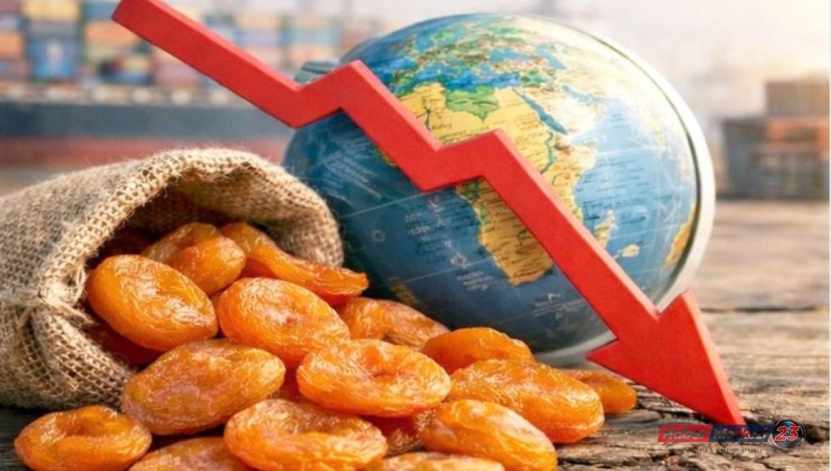 Deprem Bölgesinde İhracatı En Olumsuz Etkilenen İl Malatya!